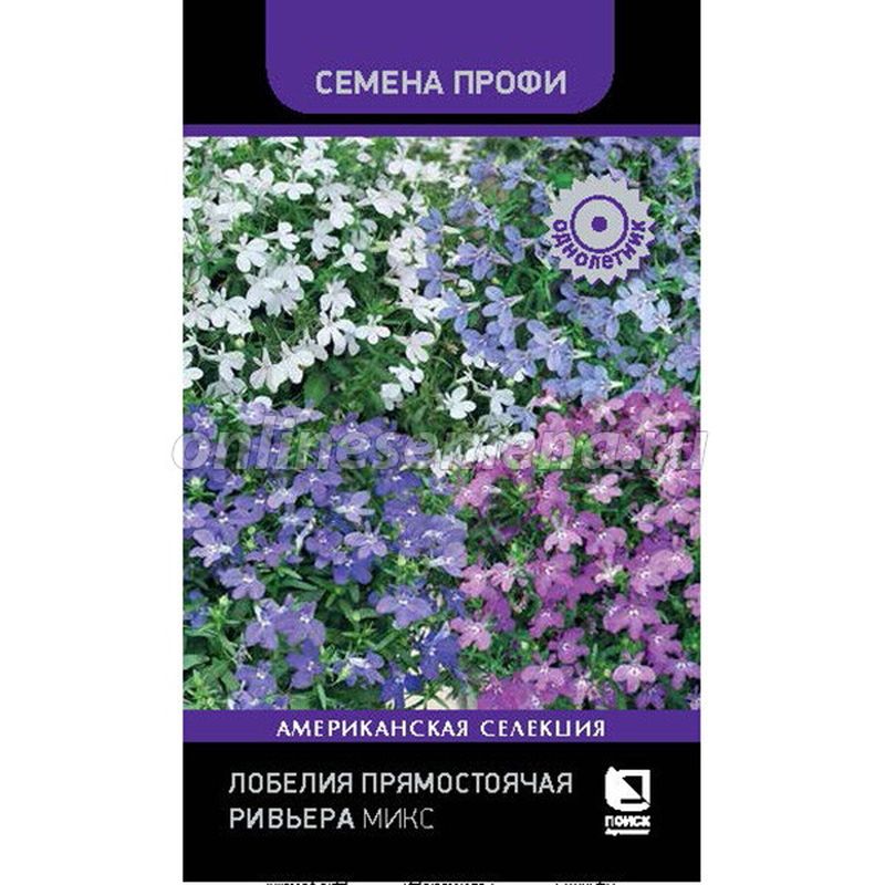 Лобелия прямостоячая РИВЬЕРА Микс 10шт. (Поиск)