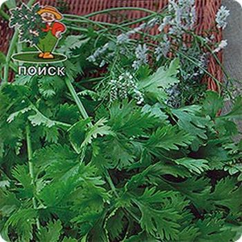 Кориандр АВАНГАРД 1,0гр. (Поиск)