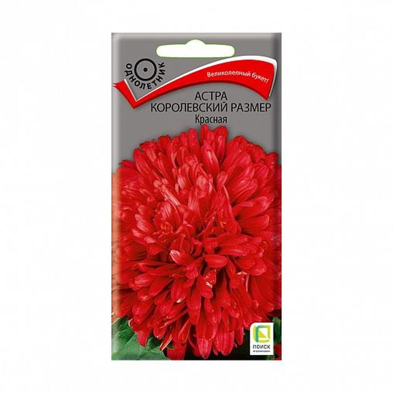 Астра КОРОЛЕВСКИЙ РАЗМЕР Красная 0,1гр. (Поиск)
