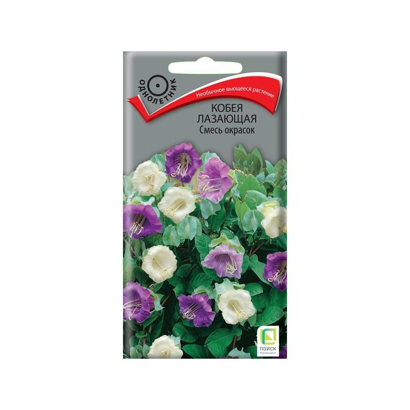 Кобея лазающая СМЕСЬ ОКРАСОК 5шт. (Поиск)
