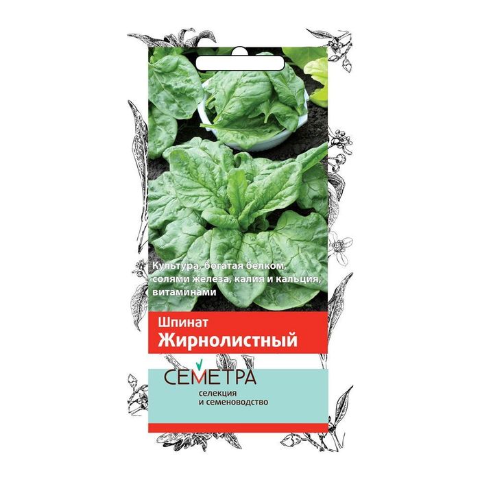 Шпинат ЖИРНОЛИСТНЫЙ 3гр. (Семетра) (Поиск)