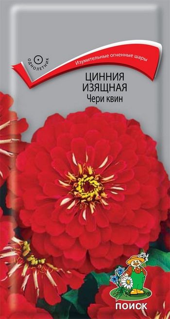 Цинния изящная ЧЕРИ КВИН 0,4гр. (Поиск)