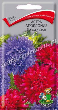 Астра АПОЛЛОНИЯ ВОСХОД И ЗАКАТ 0,3гр. (Поиск)