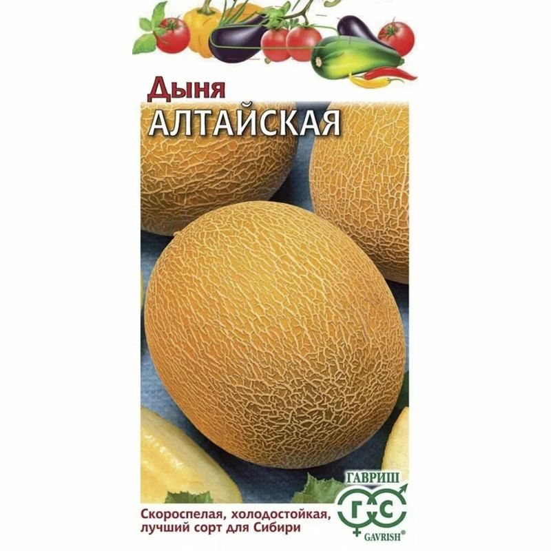 Дыня АЛТАЙСКАЯ 1,0г. (Гавриш)