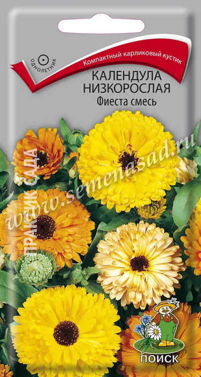 Календула низкорослая ФИЕСТА смесь 1,0гр. (Поиск)