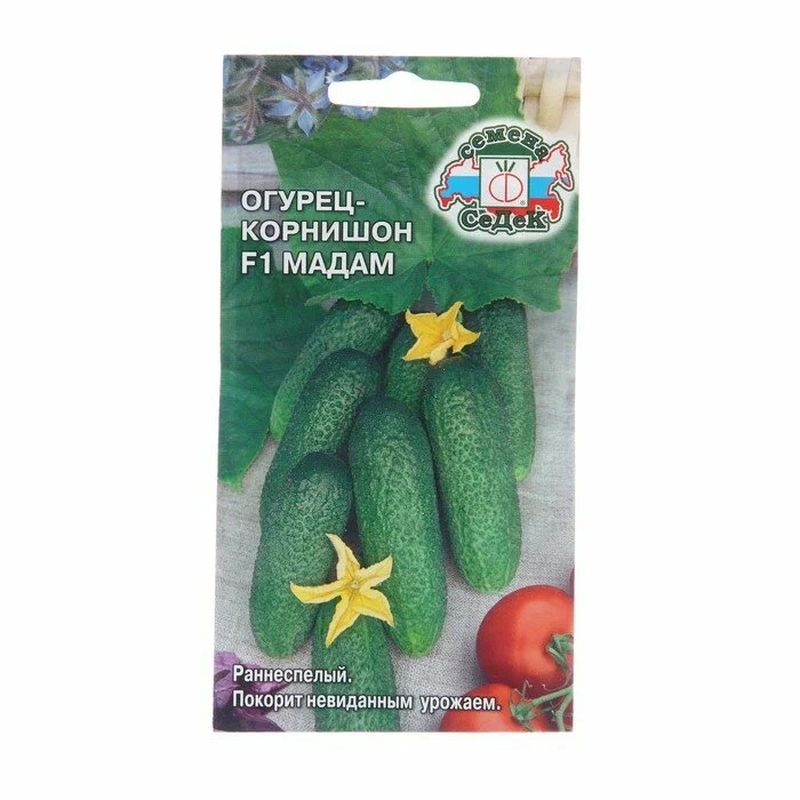 Огурец МАДАМ F1 0,2гр. (СеДек)