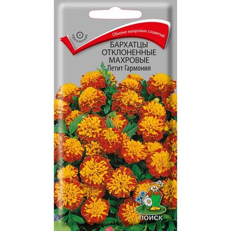 Бархатцы отклоненные махровые ПЕТИТ гармония 0,4гр. (Поиск)
